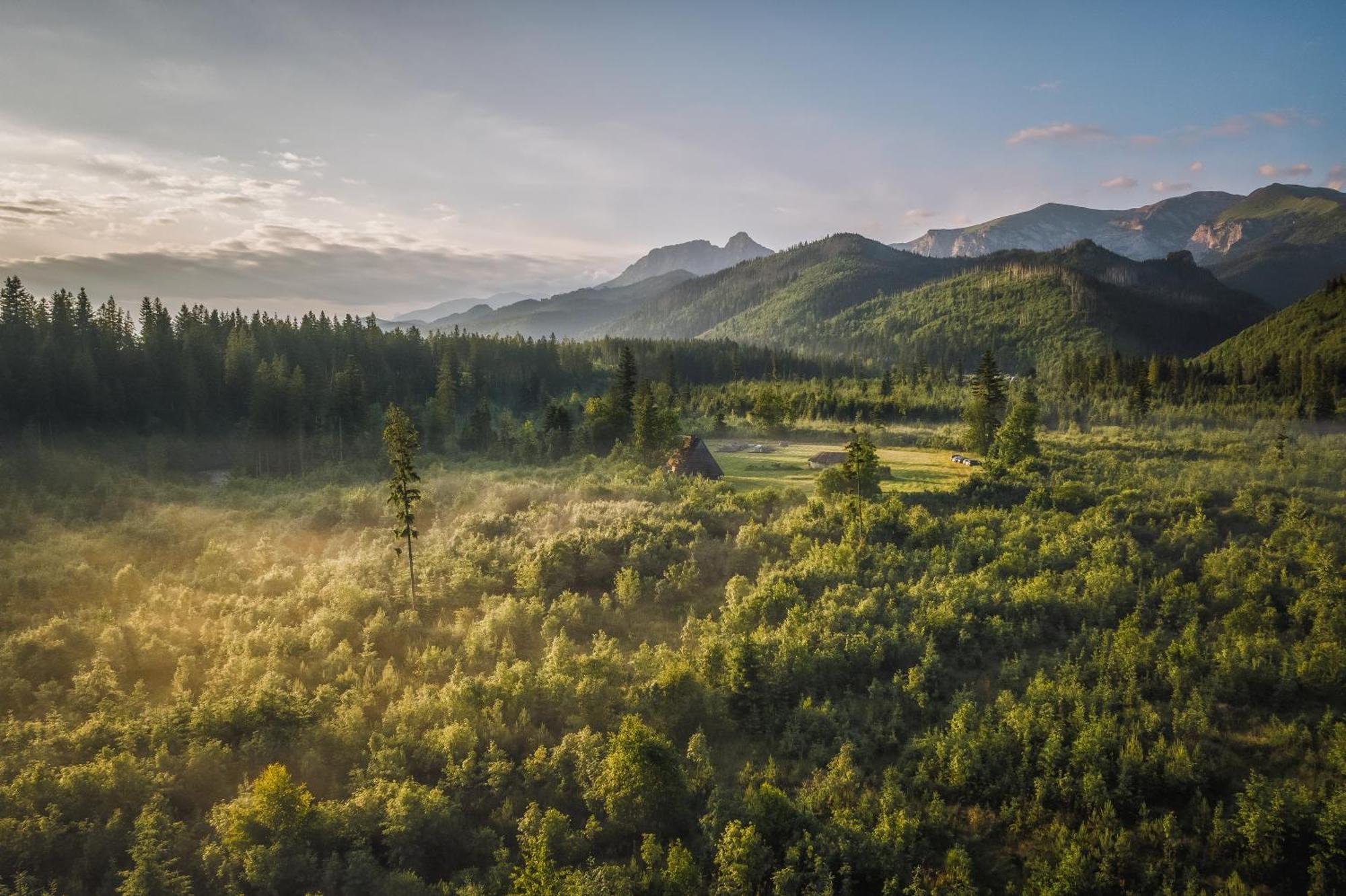 Apartamenty Krokus Przy Polanie Bialy Potok Witow  Bagian luar foto
