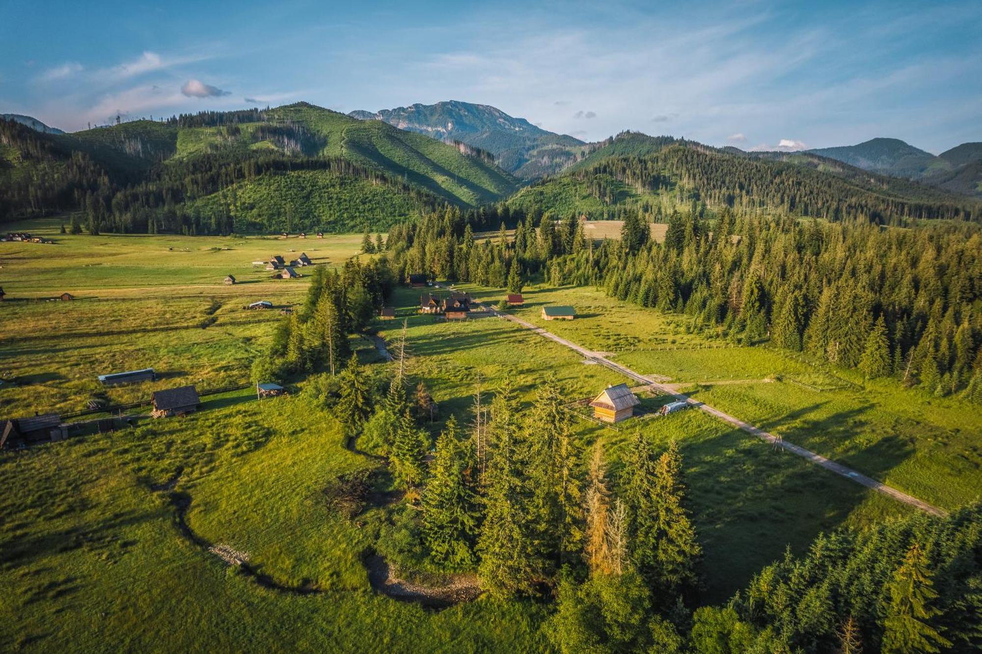 Apartamenty Krokus Przy Polanie Bialy Potok Witow  Bagian luar foto